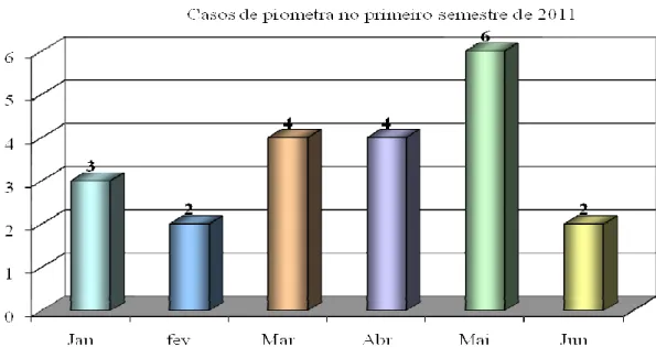 Figura 2: Número de casos de piometra diagnosticados mensalmente nas três principais  clínicas veterinárias do município de Ituverava/SP no primeiro semestre de 2011.