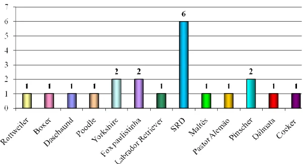 Figura  4:  Raças  caninas  com  diagnóstico  de  piometra  nas  três  principais  clínicas  do  município de Ituverava/SP no primeiro semestre de 2011