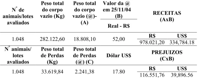 Tabela 1. Demonstrativo financeiro do percentual de perdas em Araguaína, TO. 2004. 