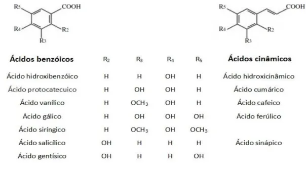 Figura 9: Estrutura química de ácidos benzóicos e ácidos cinâmicos 38