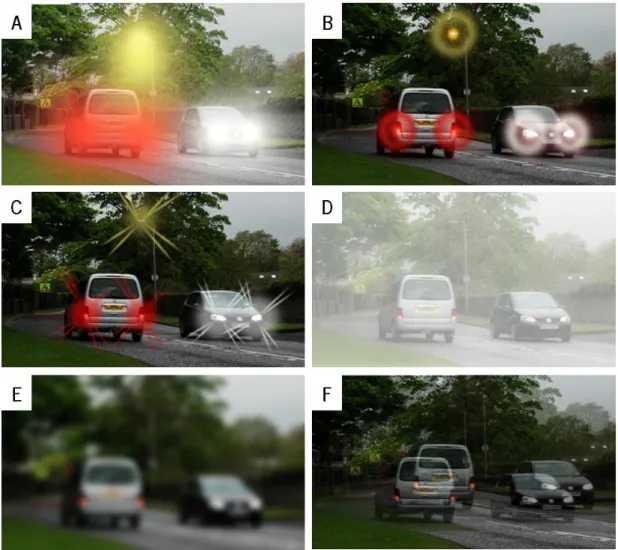 Figure 1.6 Pictures from the Quality of Vision (QoV) questionnaire of the night visual symptoms and photic  phenomena