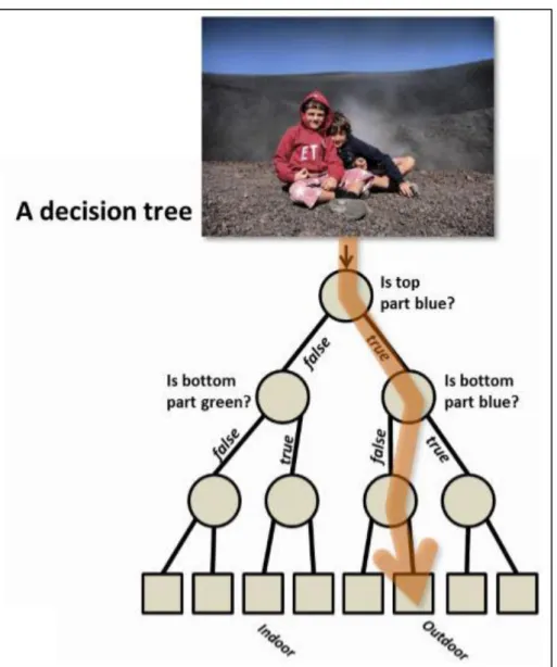 Figure 1.5: Decision tree. A decision tree is a  hierarchical structure and the  basic unit of the random forest algorithm