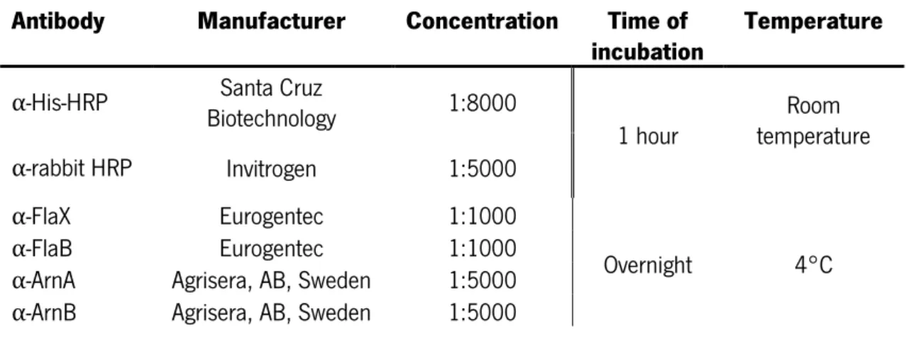 Table 4 Antibodies used in this work and the conditions at which the membrane was incubated in the  respective antibody solution