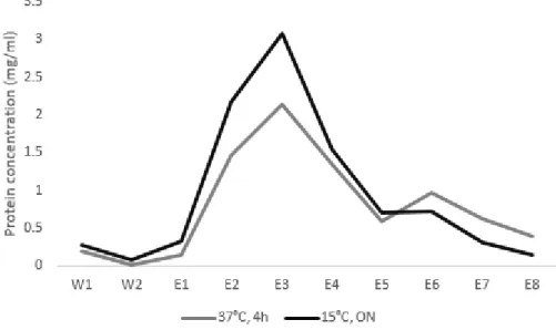 Fig. 12 Chromatographic profile of Saci_1563 purification from  E. coli  induced at 37°C for 4h or at  15°C overnight (ON), induced with 0.5 mM IPTG