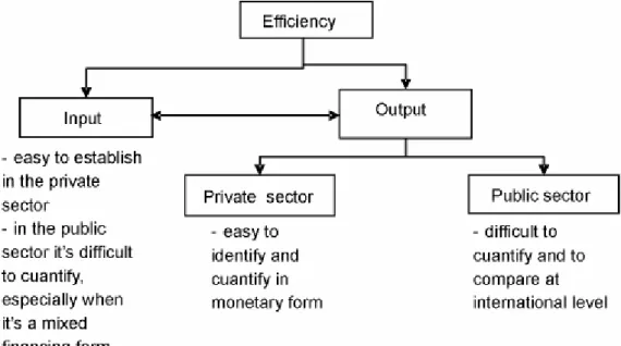 Figura 3: Determinando o indicador de eficiência  Fonte: Mihaiu  et al  (2010) 