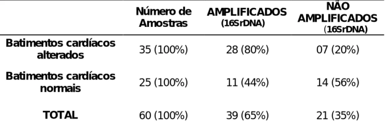 Tabela  1.  Representação  quantitativa  da  amplificação  do  16SrDNA  para  detecção  da 