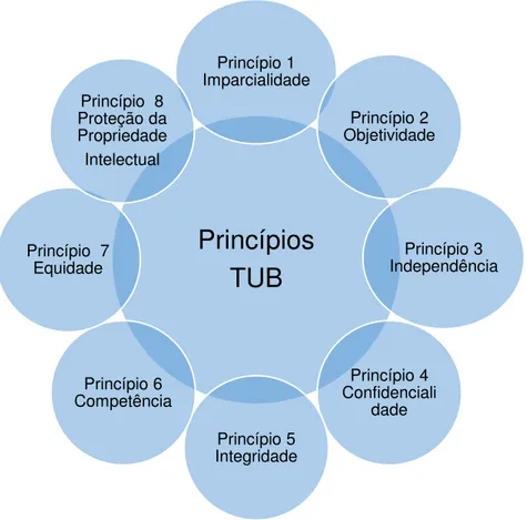 Figura 6 - Princípios do Código de Conduta dos TUB                  (reproduzido de Relatório Societário 2015  –  TUB).