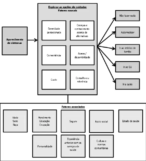 Figura 1 – Categorização dos Motivos do “mau uso” dos SU. 