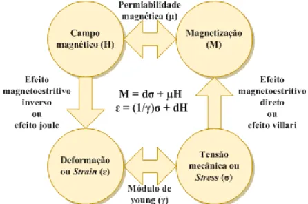 Figura 2.5 - Diagrama explicativo do fenómeno magnetoestritivo e respetivas equações. [26] 