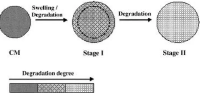 Figure 1.3 - Degradations stages 25