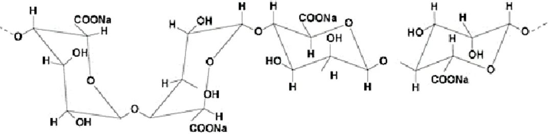 Figure 2.3 - Alginate Sodium (ALG).  12