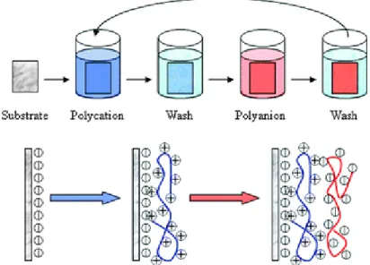 Figure 2.5- Layer-by-Layer film deposition. 17