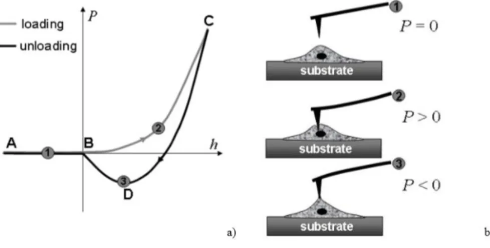 Figure 2.7 - a) Scheme of a typical force versus the AFM tip displacement acquired in indentation of a surface