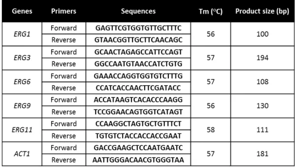 Table 2.1. Primers used for qRT-PCR, the respective melting temperature and product size 