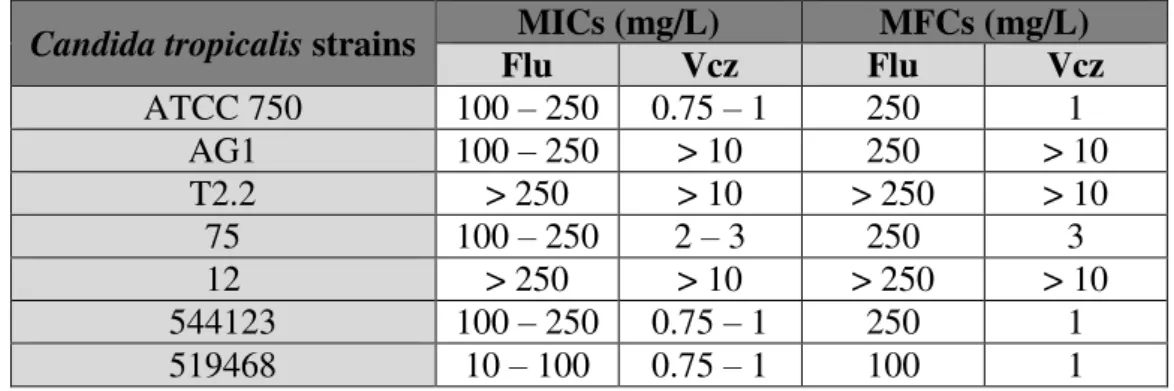 Table  2.2.  Candida  tropicalis  minimum  inhibitory  concentrations  and  minimal  fungicidal  concentrations obtained with fluconazole and voriconazole 