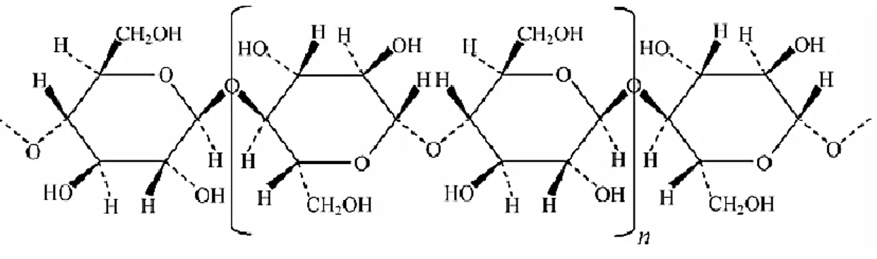 Figure 1.1 Detail of a cellulose chain, highlighting the repetitive unit cellobiose (n)