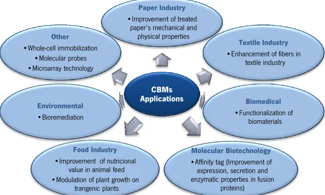 Figure 1.7 CBM applications and related areas. 