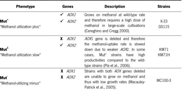 Table 1.2 Phenotypes of  P. pastoris  according to the methanol utilization. 