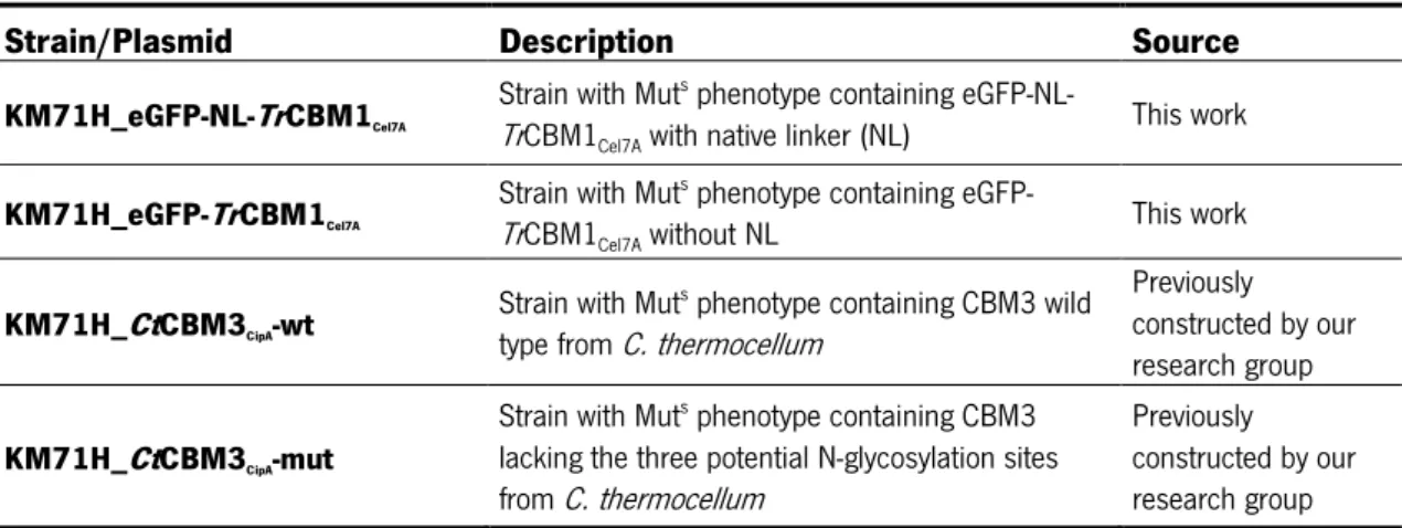 Table 2.1 –  P. patoris  strains used in this work. 
