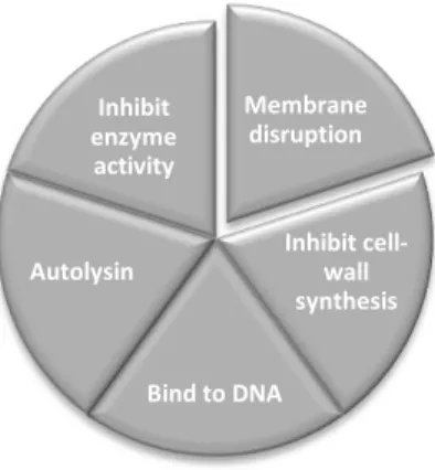 Figure 3 Some of AMP mechanisms of action. Adapted from Sang &amp; Blecha, (2008). 