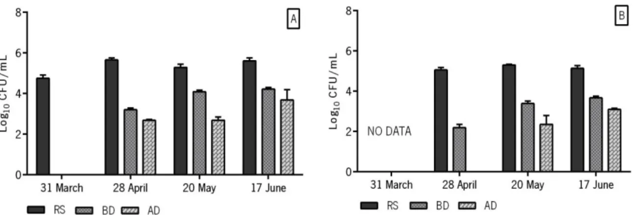 Figure  6  shows  the  variation  of  S.  aureus  bacterial  load.  In  the  sample  from  31  March,  S