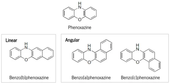 Figure 5. Chemical structure of phenoxazines and benzophenoxazines. Adapted from [155]