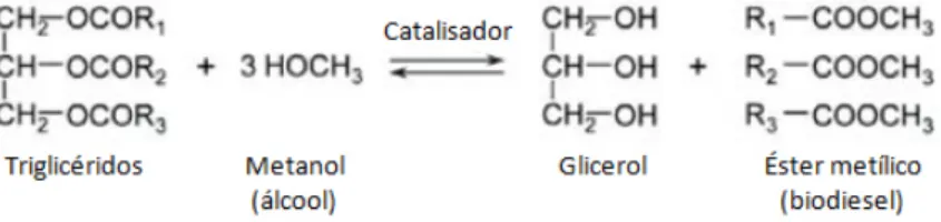 Figura 2 - Transesterificação do óleo para biodiesel. R 1-3  são grupos hidrocarboneto (Chisti 2007)