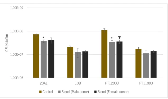 Figure 5 – The number of colony forming units (CFU per biofilm after 2 hours of incubation with  TSB (control) or human blood