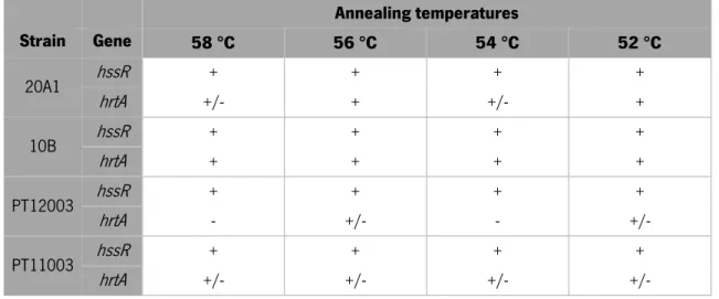 Table  4  –  qPCR  reaction  efficiency  with  both  hssR   and  hrtA   primers  at  different  annealing  temperatures