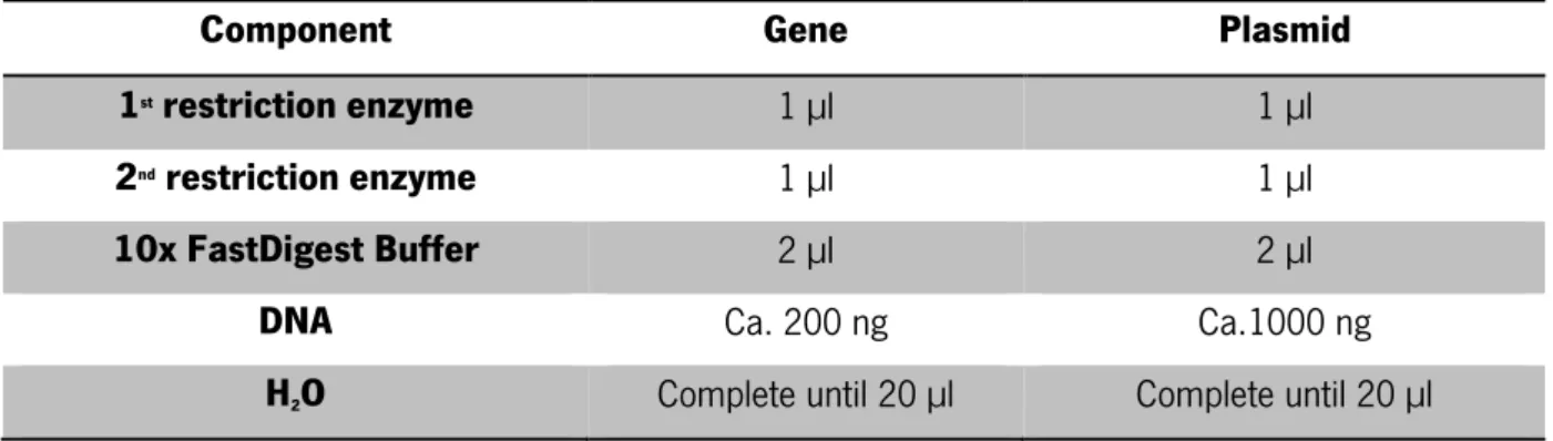Table 8- Quantities of components used to make a digestion 