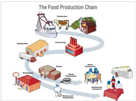 Figure 1 | Food Production Chain shows that food products contamination may happen at any time since the moment  they are produced until they are finally consumed (The Food Production Chain, 2013) 