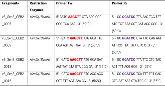 Table 2 | Sequences of forward and reverse primers with restriction enzymes used. Where red nucleotides are  HindIII restriction sequence and purple nucleotides are  BamHI  restriction sequence 