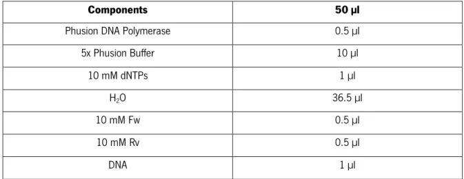 Table 3 | PCR components for amplification of each fragment. The volumes were calculated for 50 µl of final reaction  volume 