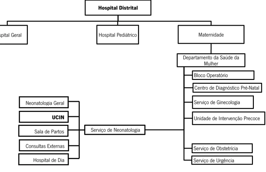 Figura 1 - Organigrama do Hospital Distrital