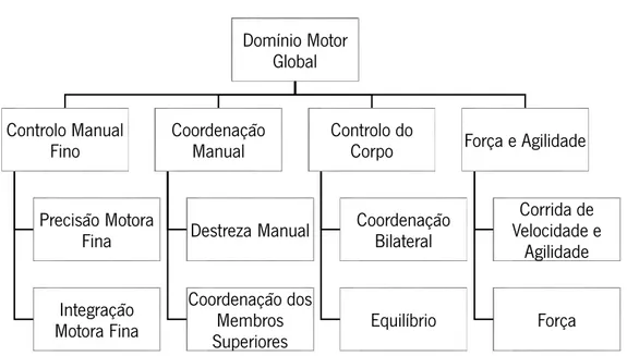 Figura 1: Composição e estrutura do BOT-2 (adaptado de Rodrigues et al., 2014). 