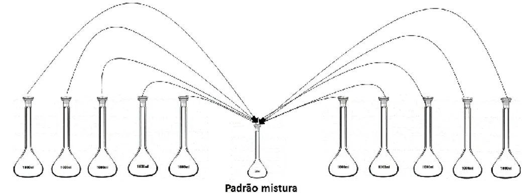Figura 2.1: Representação esquemática do procedimento para a preparação dos padrões de calibração 