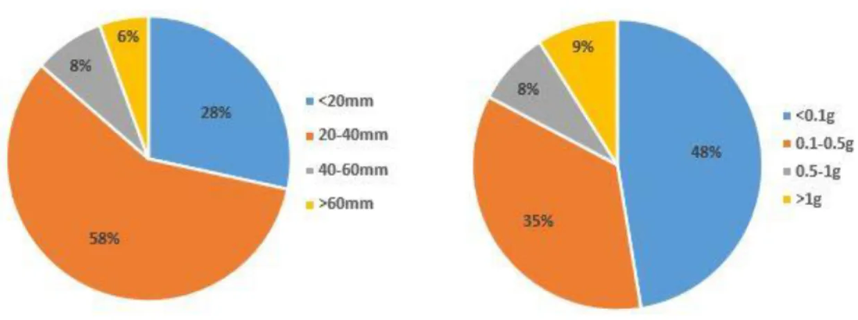 Figura 6. Distribuição dos tamanhos (esquerda) e pesos (direita) das presas encontradas nos  conteúdos estomacais das tordas-mergulheiras analisadas