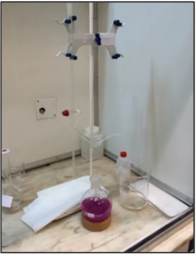 Fig. 8 .  Titulação da amostra de sabão com solução etanólica de HCl