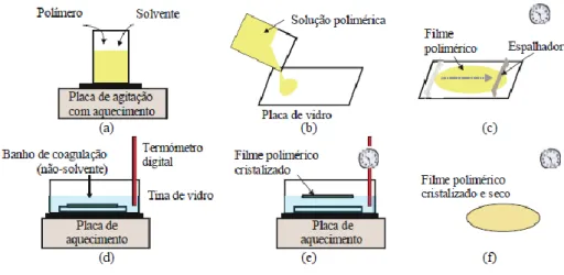 Figura 5 - Esquema ilustrativo do método NIPS [34]. 