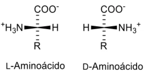 Figura 1: Enantiómeros  D  e  L  de α-aminoácidos 