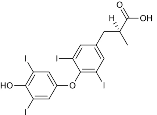 Figura 5: Estrutura de alaninas β-substituídas 