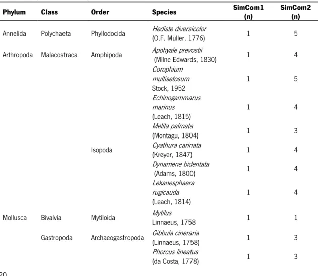 Table 2 Taxonomic classification and distribution of the 21 marine macrobenthic species among the two different  simulated macrobenthic communities