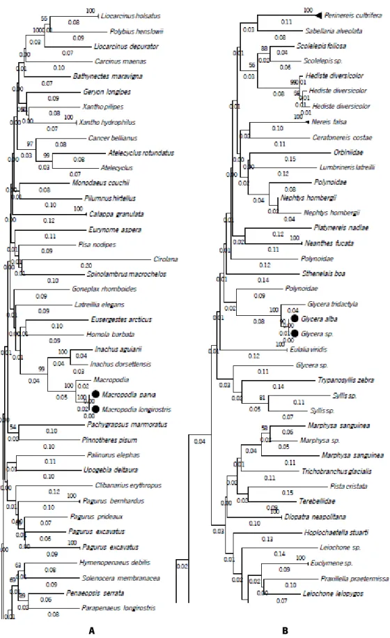 Figure 6 Phylogenetic NJ tree created from 315 sequences of A - full COI-5P DNA barcodes (658 bp) and B - short  COI-5P fragments (158 bp) of our reference library