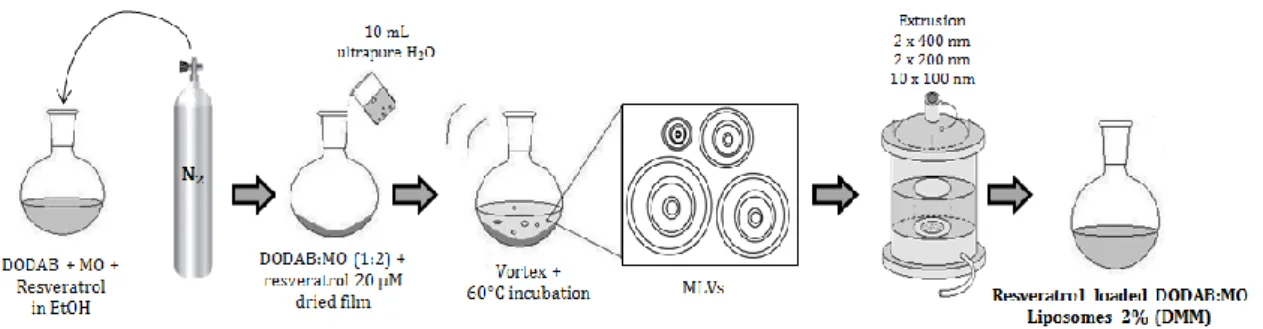 Figure 12. Schematic representation of the preparation of resveratrol loaded DODAB:MO  (1:2)  liposomes  (2%)  produced  by  the  direct  mixing  method  of  encapsulation  (adapted  from  99 )