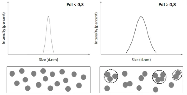 Figure  15.  Schematic  representation  of  the  intensity  versus  the  size  distribution  of  two  samples