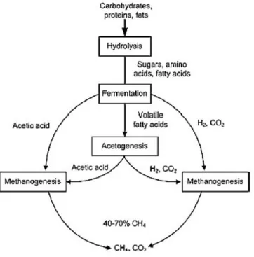Figura 2.4 - Fluxo do processo da degradação do material orgânico através do processo de  digestão anaeróbia [10]