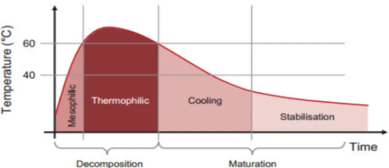 Figura 2.6 - Evolução da temperatura durante as duas fases do processo de compostagem  [103]