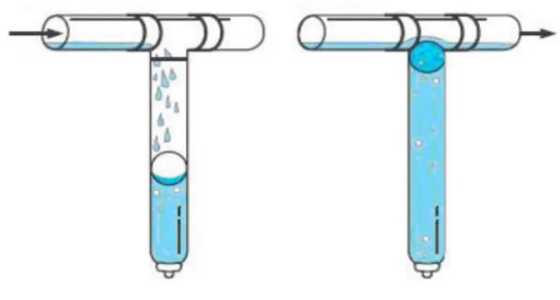Figura 4-Firts Flush 