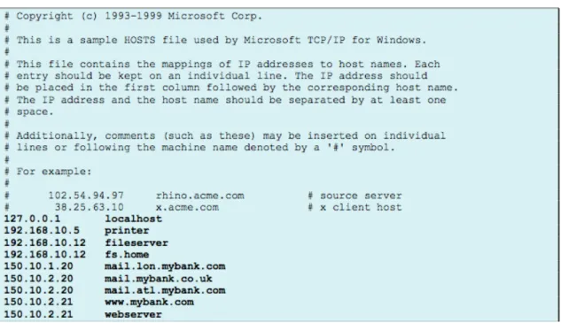 Figura 8: Exemplo de um host file. 