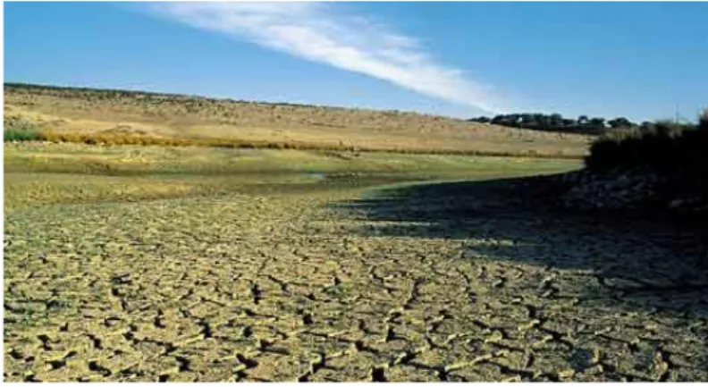 Figure 2 - Desertification in the Alentejo region (http://meioambiente.culturamix.com) 